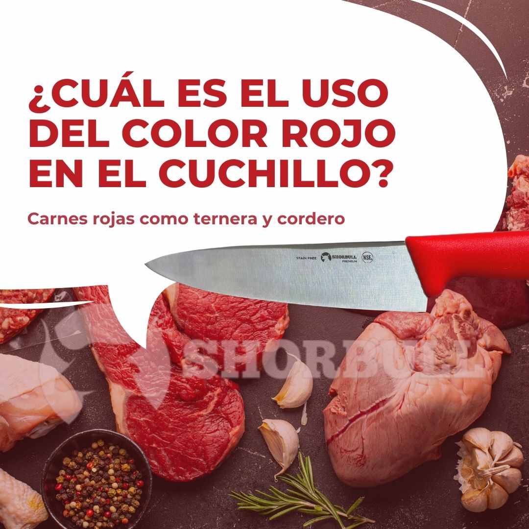 Kit de 3 cuchillos para Chef 10 inch Hoja Acero Inoxidable Mango Ergonómico Color Azul, rojo y blanco