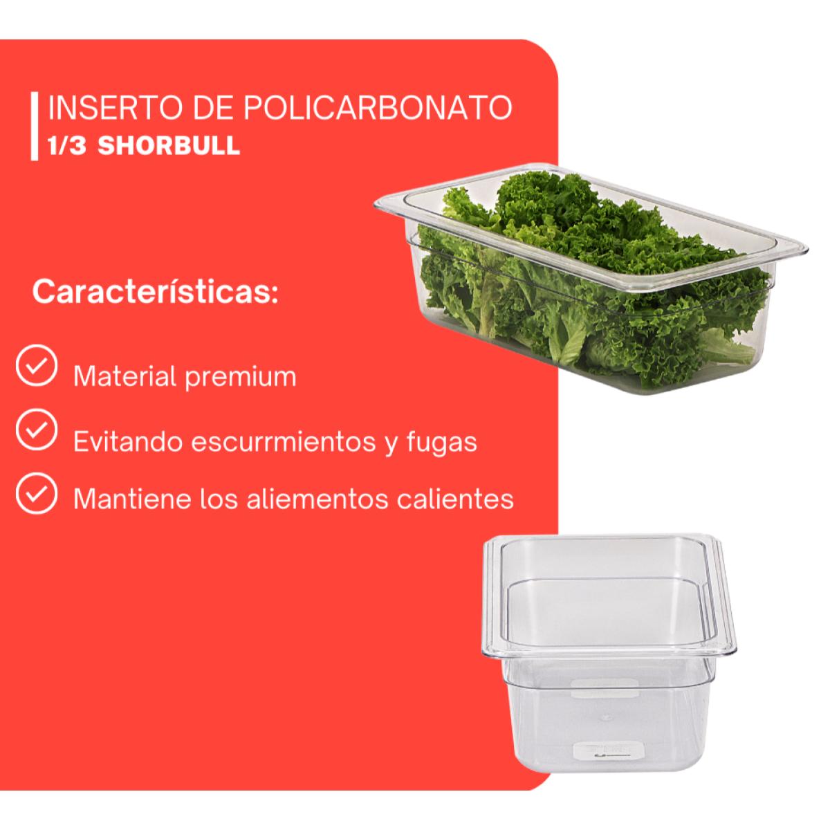 Inserto de policarbonato de 1/3 10cm con tapa