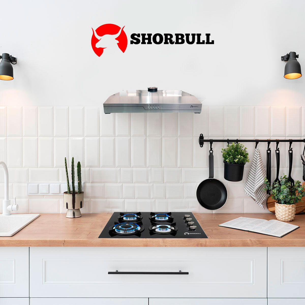 Campana Extractora empotrable Acero 50cm