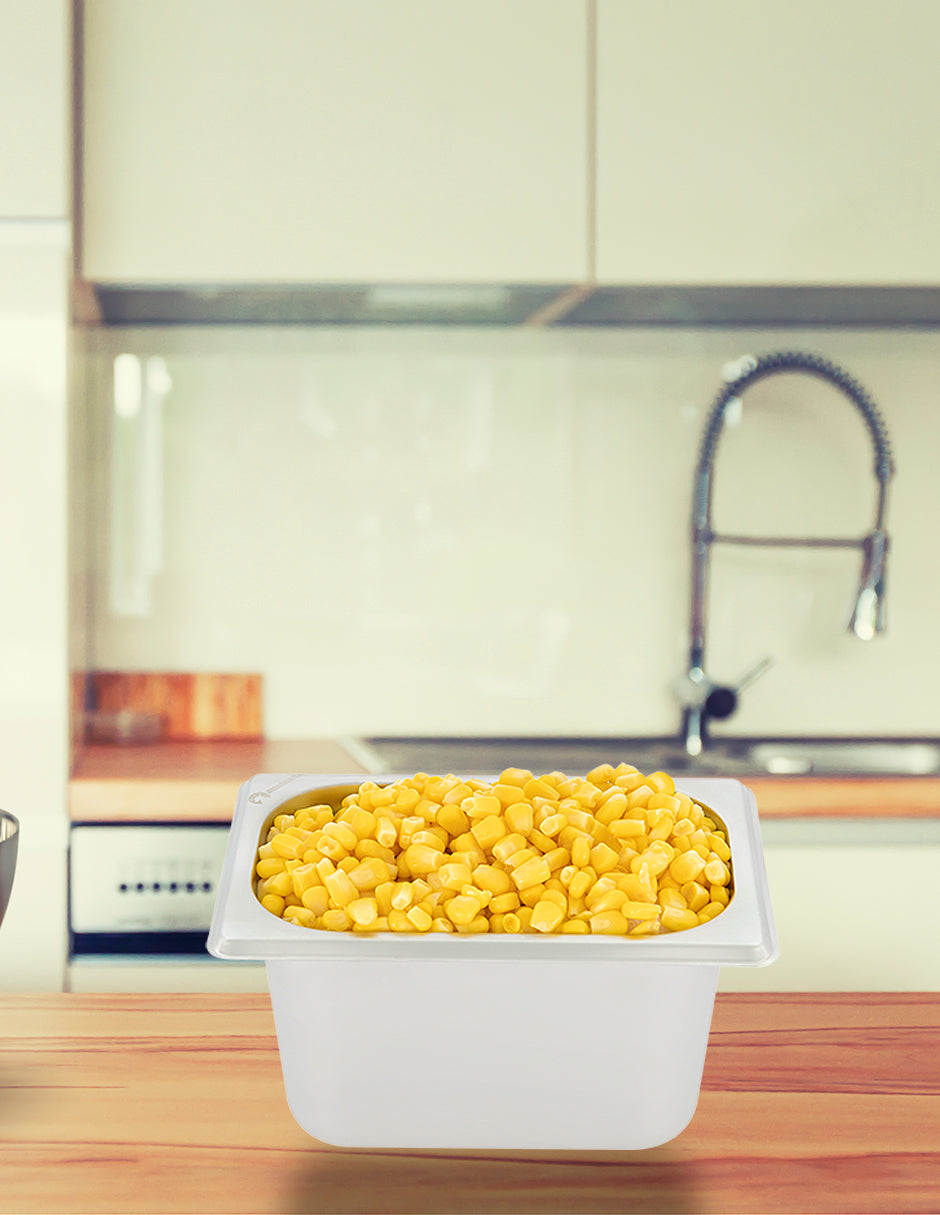 Inserto Acero Inoxidable 1/9  6.5cm con tapa